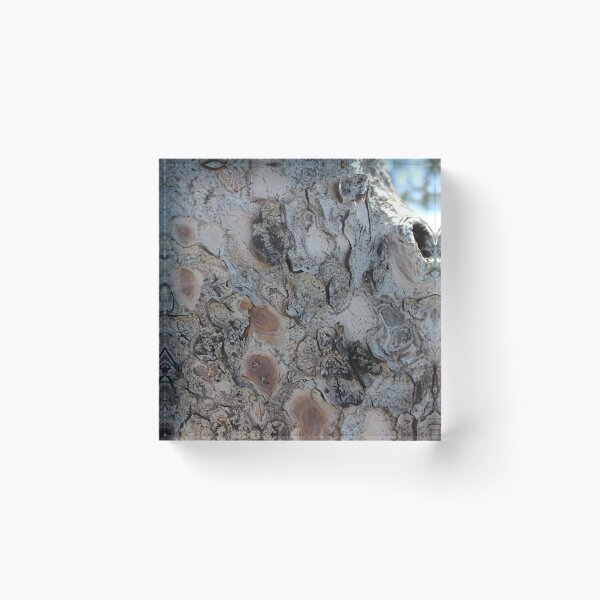 Item preview, Croatian Tree 2 - Fine Detail  designed and sold by Ane Slabic.