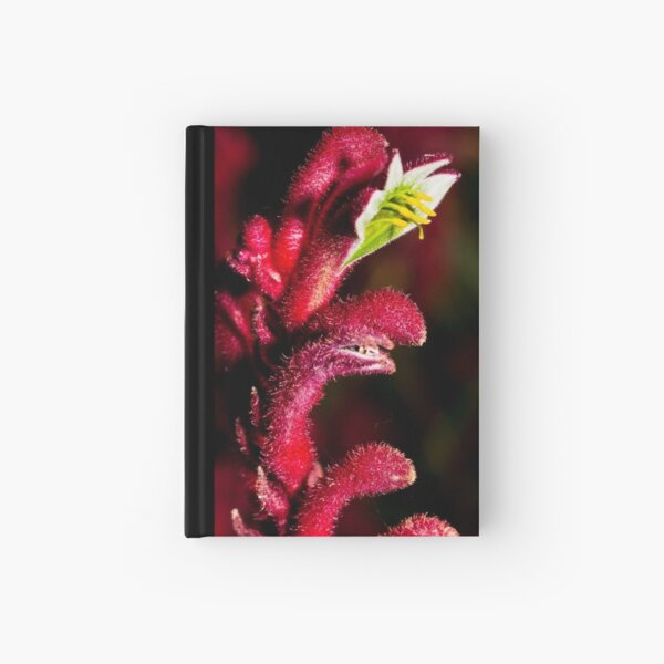 Kangaroo Paw Hardcover Journal