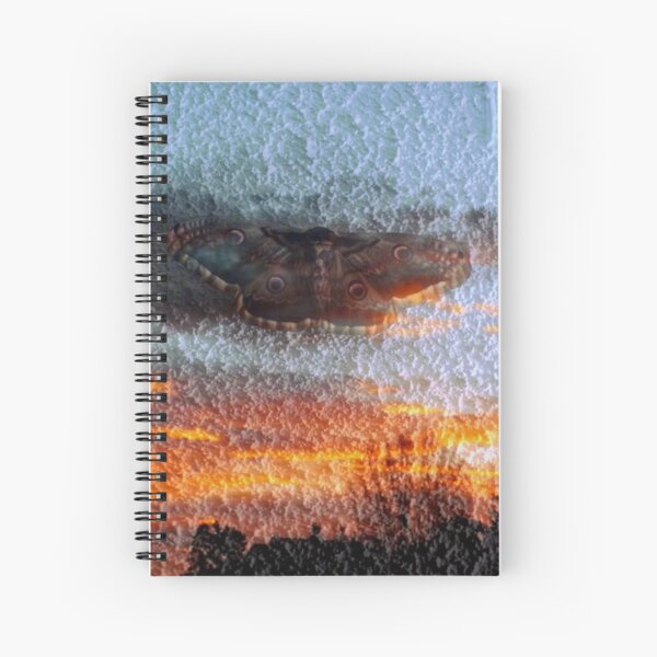 Papillons gris de nuage Cahier à spirale