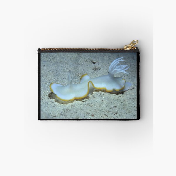 Item preview, Ardeadoris egretta, far northern Great Barrier Reef designed and sold by Erik Schlogl.