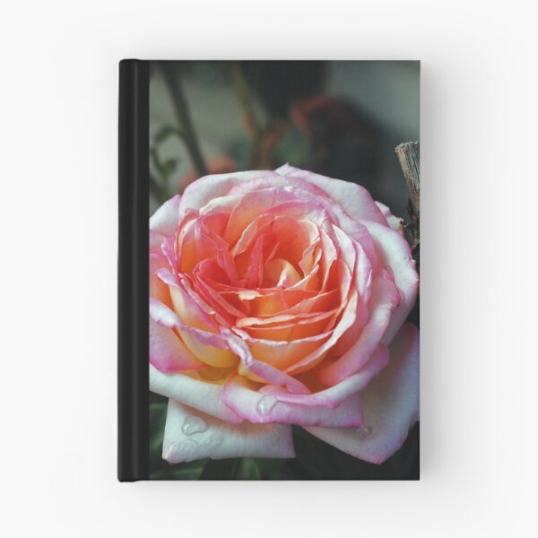 Item preview, Morning Rose designed and sold by Susie Wieberg.