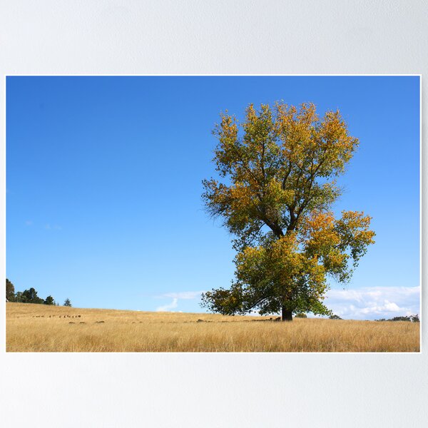 Item preview, Glorious Autumn designed and sold by Paul Earl.