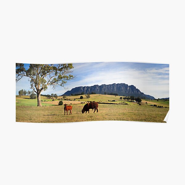 Rural Scenery- West Kentish,Tasmania Poster