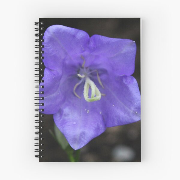 Item preview, Campanula designed and sold by wovenbright.