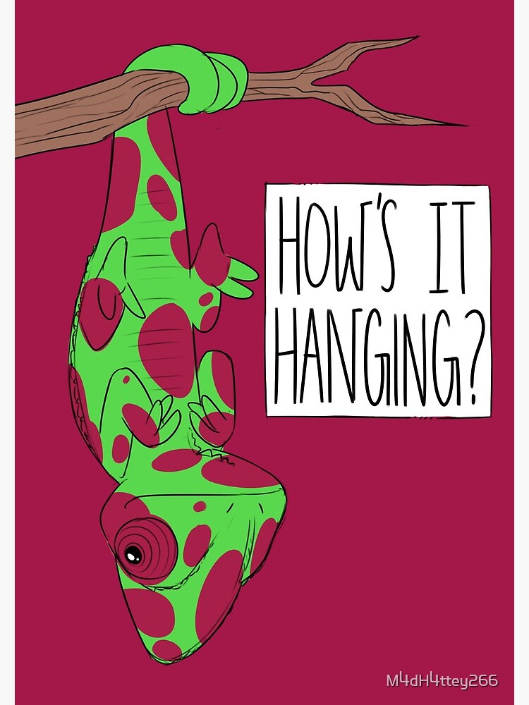 CUTE CHAMELEON - How's It Hanging (Red Spotted) by M4dH4ttey266