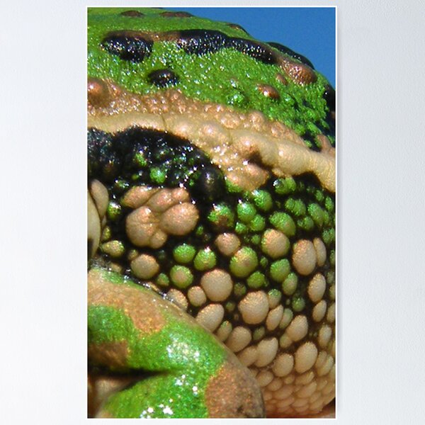 Item preview, 1Warts and All designed and sold by Thow's Photography.