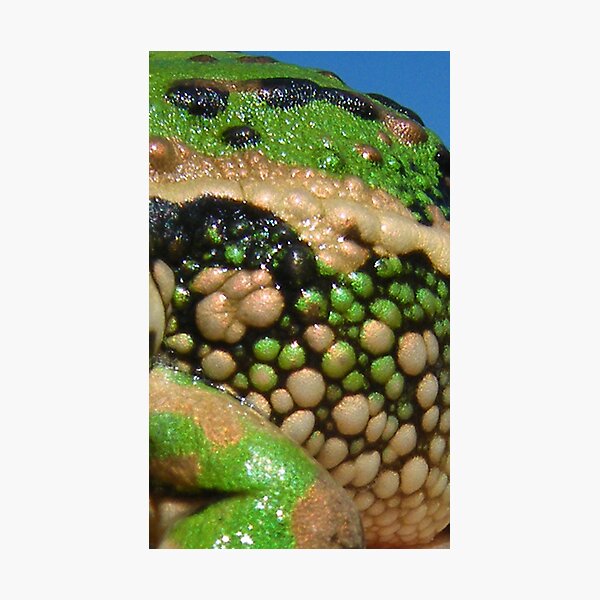 Artikelvorschau, 1Warts and All entworfen und verkauft von Thow's Photography.