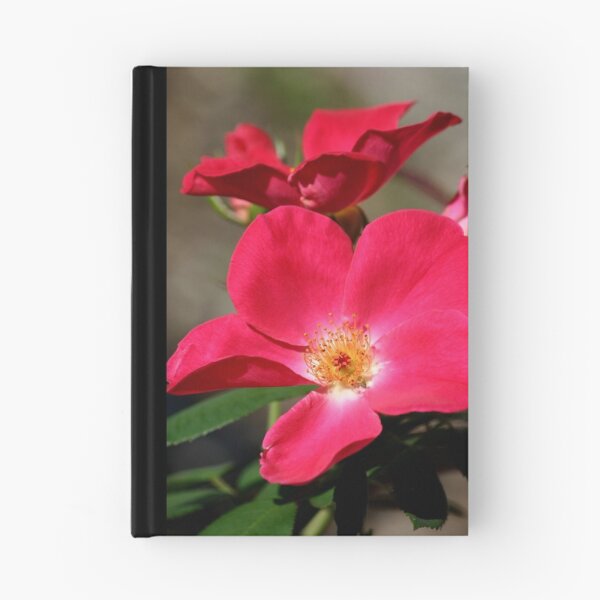 Item preview, Open Rose designed and sold by Brent McMurry.