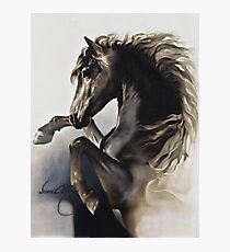"Black Fury" Painting in Oils Photographic Print