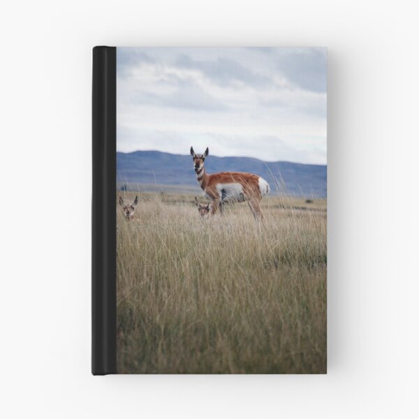 Item preview, Montana Madonna designed and sold by Krista Corner.