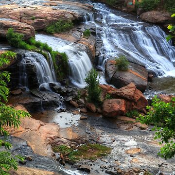 Artwork thumbnail, Reedy River Falls Greenville South Carolina by CarolRMontoya