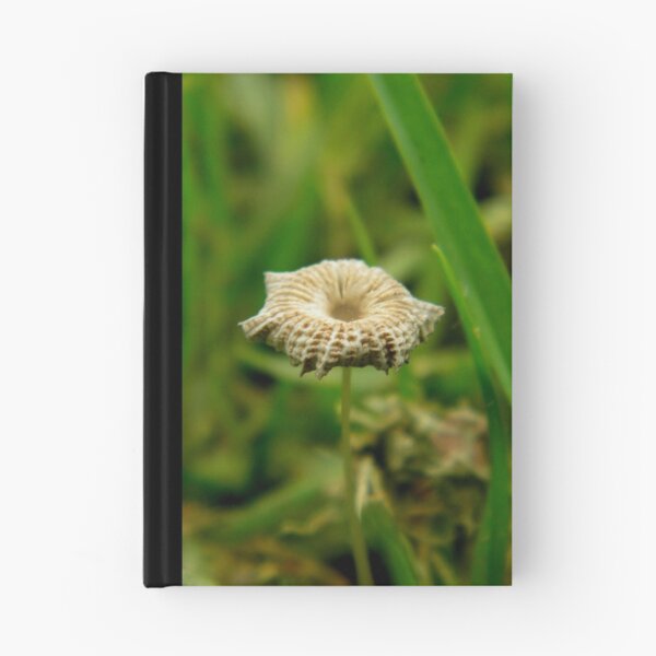 Item preview, Delicate  designed and sold by Helena Bolle.