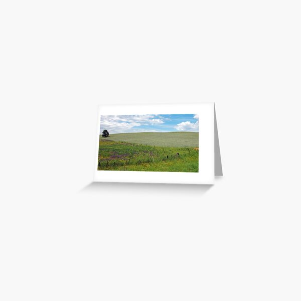 Item preview, Tumbarumba Rural designed and sold by Harry Oldmeadow.