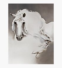 "The Queen" Painting in Oils Photographic Print