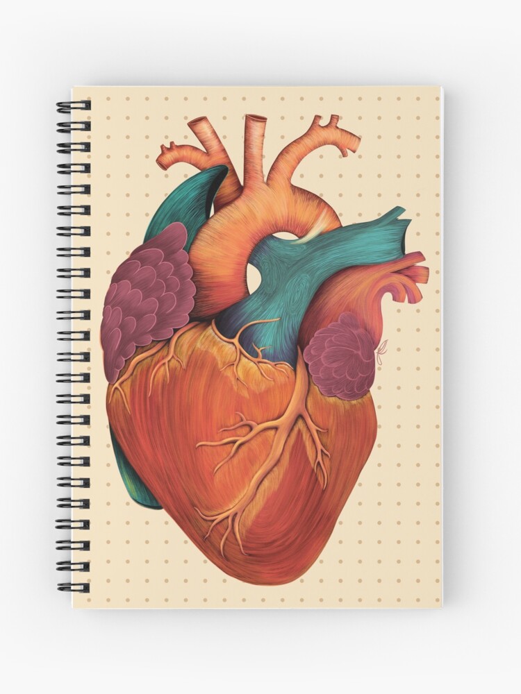 Сердце человека литература. Сердце анатомия красивое. Сердце арт.