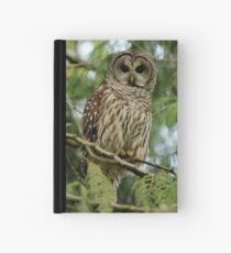 Silent Barred Stalker Hardcover Journal