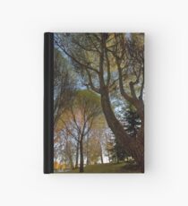 Seats under the big trees Hardcover Journal