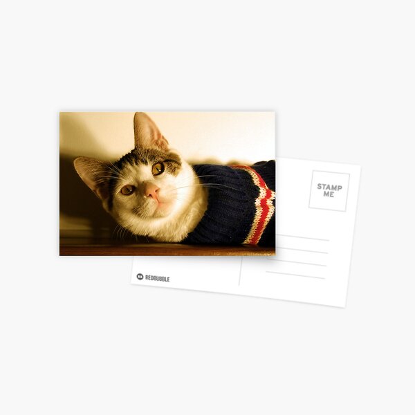 Max's Sweater Postcard