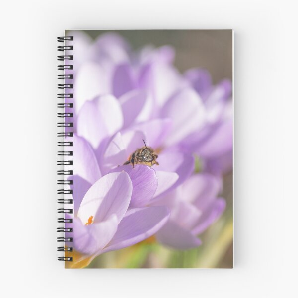 Item preview, Head scratching wild bee designed and sold by terraferaephoto.