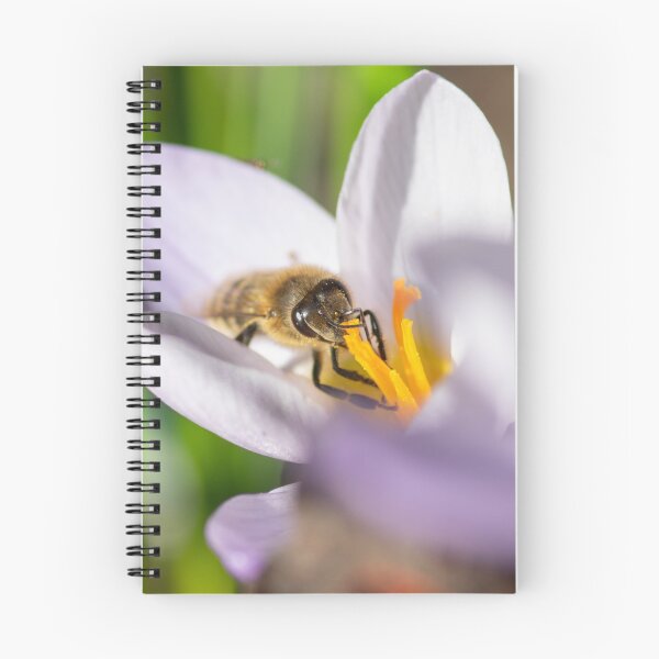 Item preview, Wild bee on woodland crocus designed and sold by terraferaephoto.