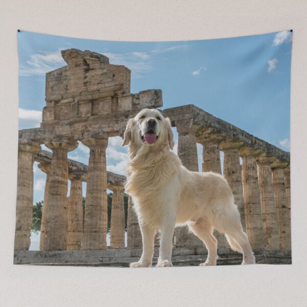 Item preview, Golden Retriever at Greek Ruins In Italy designed and sold by Jon Shore.