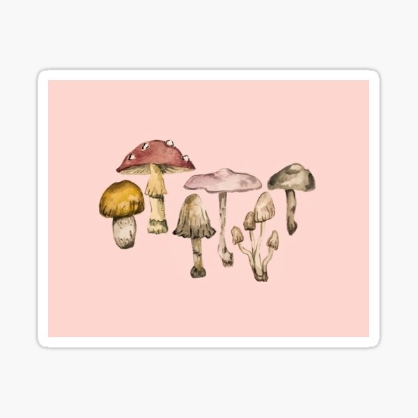 Pink Mushroom Pattern Sticker