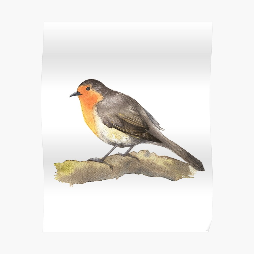 2 x Diamond Stickers 7.5 cm Garden Robin Bird Birds Christmas  #15509 
