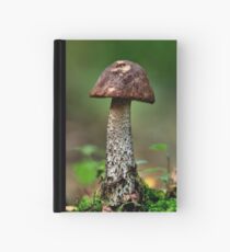 Toadstool Hardcover Journal