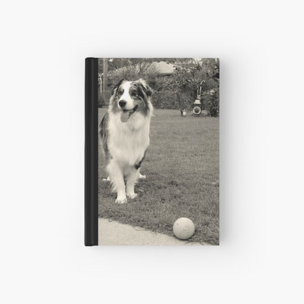 Cezanne wants to play Ball Hardcover Journal