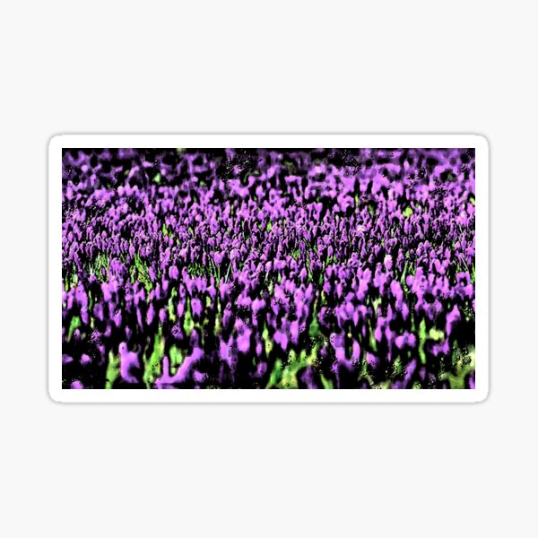 Item preview, Lilac Tulips  designed and sold by designbywhacky.