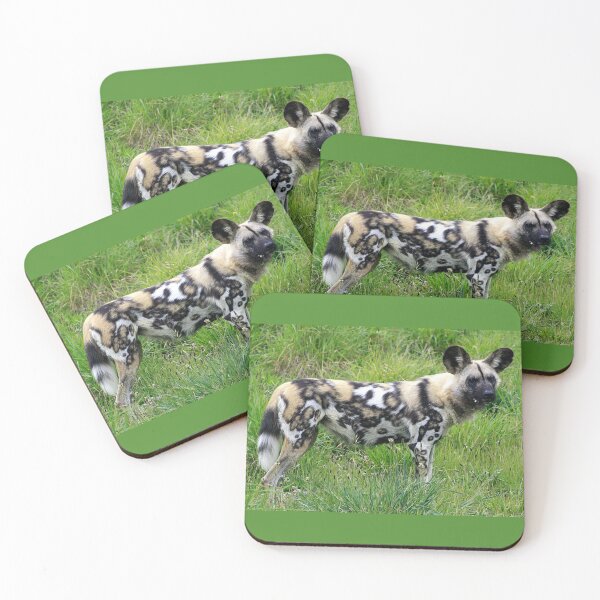 Item preview, African Wild Dog (1) designed and sold by Phil Le Cren.