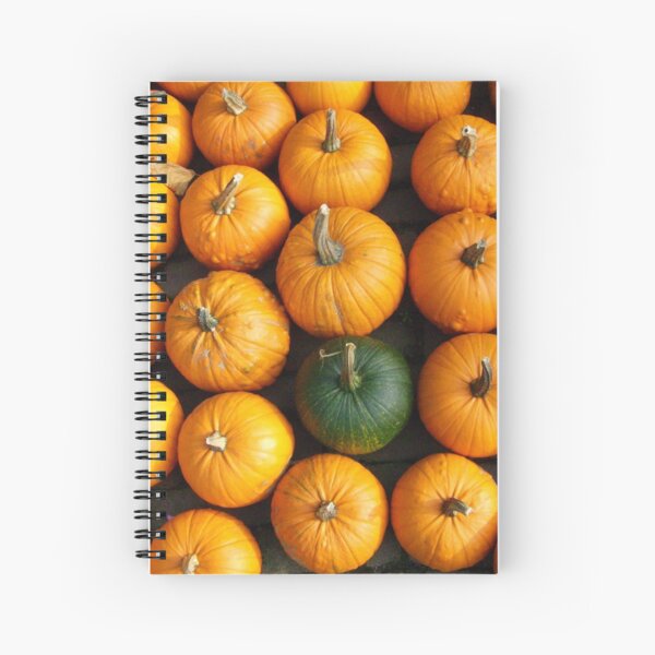 Odd One Out Spiral Notebook