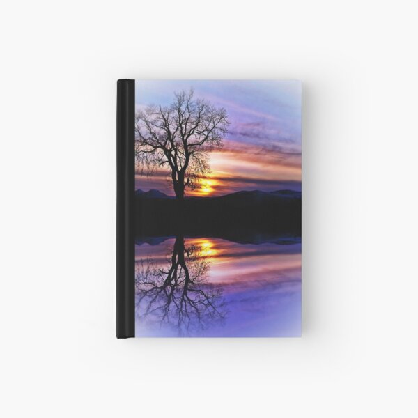 The Tree Of Reflections Hardcover Journal