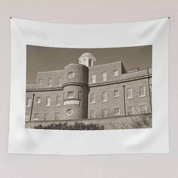 Item preview, South Carolina State Hospital Asylum Black And White designed and sold by LisaWootenPhoto.