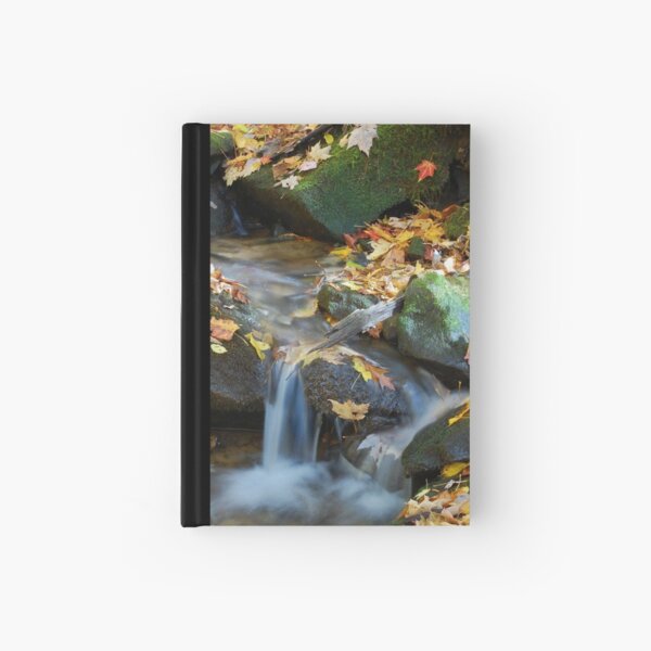 Teskewata Falls Hardcover Journal
