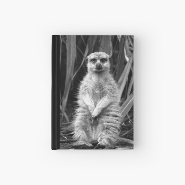 Meerkat Posing Hardcover Journal