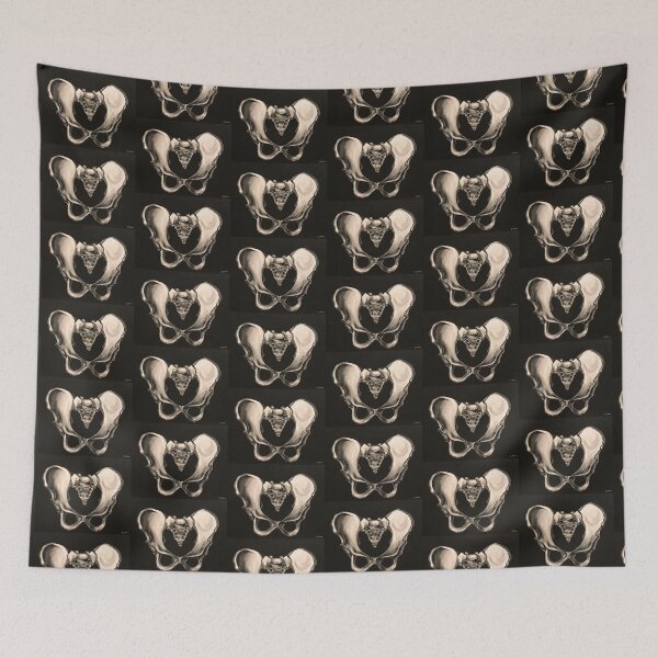 Item preview, Pelvis bone  designed and sold by gabriellamamo.