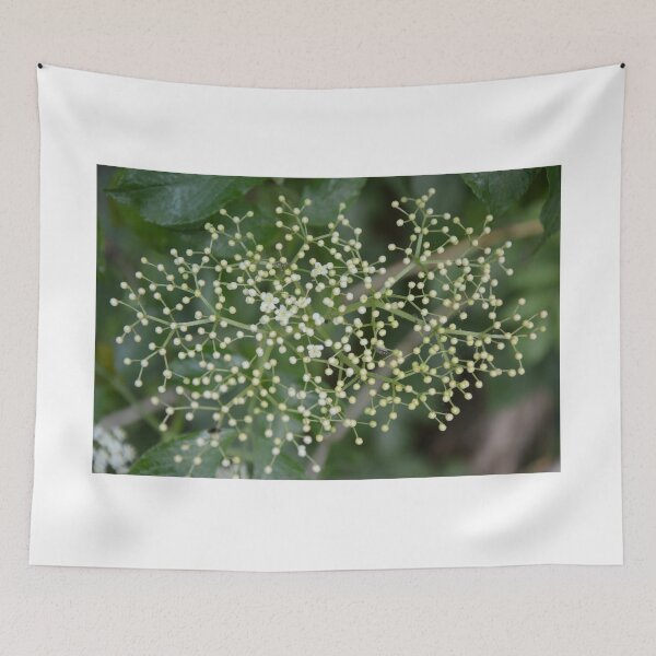 Item preview, White and Green Small Flowers designed and sold by ReplyGirl.