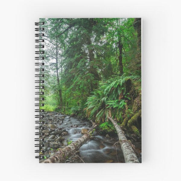 Item preview, Hoh Rainforest Olympic Peninsula Washington designed and sold by terraferaephoto.