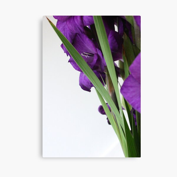 Modern Flowers Canvas Print