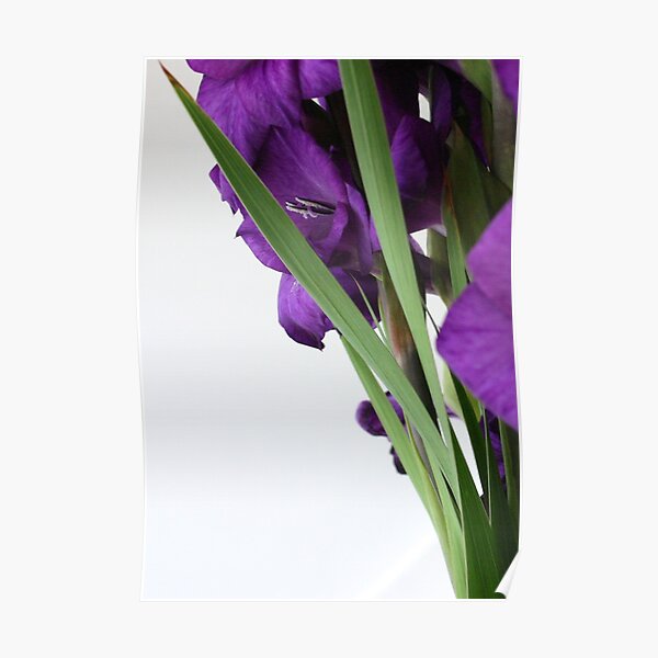 Modern Flowers Poster