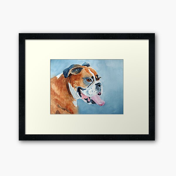 Beautiful boxer Framed Art Print
