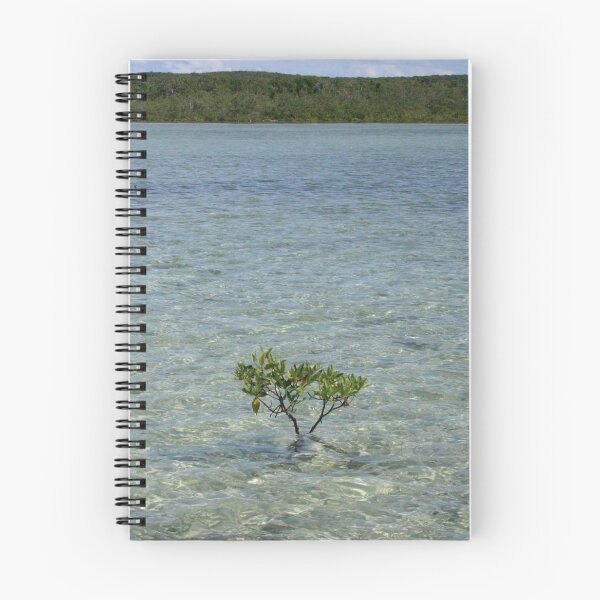 Item preview, Sapling designed and sold by SamanthaJones.
