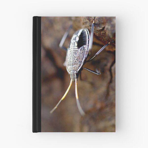 Item preview, Stinkbug designed and sold by Helena Bolle.