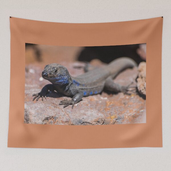 Item preview, La Palma endemic lizard designed and sold by Martin Leber.