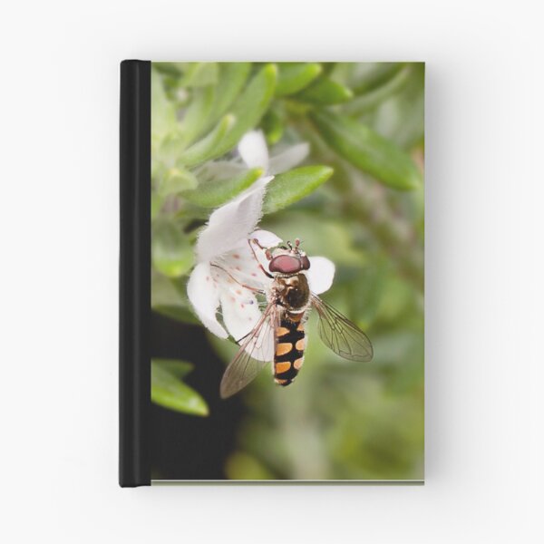Item preview, hovering around designed and sold by kevin Chippindall.