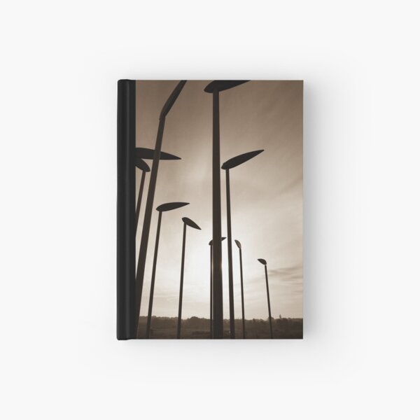 Aperçu de l'œuvre Silhouette  créée et vendue par PETED60.