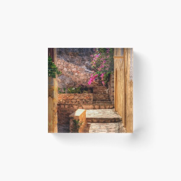 Item preview, Steps to the garden designed and sold by tomg.