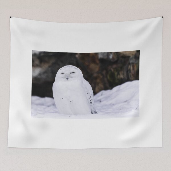 Item preview, Snowy owl designed and sold by Martin Leber.