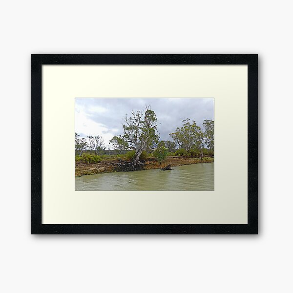 Item preview, River Red Gum Landscape designed and sold by Graeme  Hyde.
